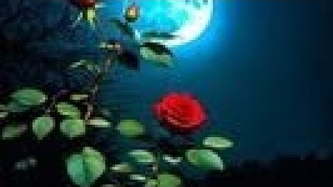 stack ball game #ias #music #trap #automobile #badbunny #like #gaming #stackballsolution