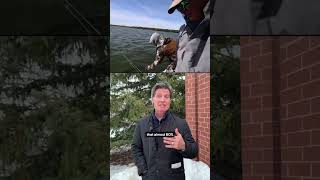 Minnesota walleye fishing: DNR considers reducing statewide limit