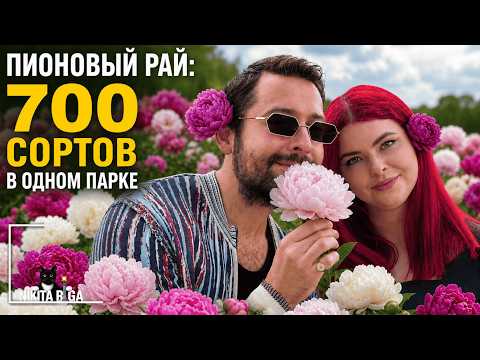 700 VARIETIES OF PEONIES AND INCREDIBLE VIEWS I PARADISE FOR LOVERS OF THESE IMPERIAL FLOWERS