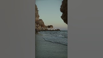 Here is a 5-word MAX YouTube title for an AI automation tool