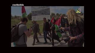 Download Lagu AIR MATA PALESTINA MP3 Download Lagu AIR MATA PALESTINA MP3
