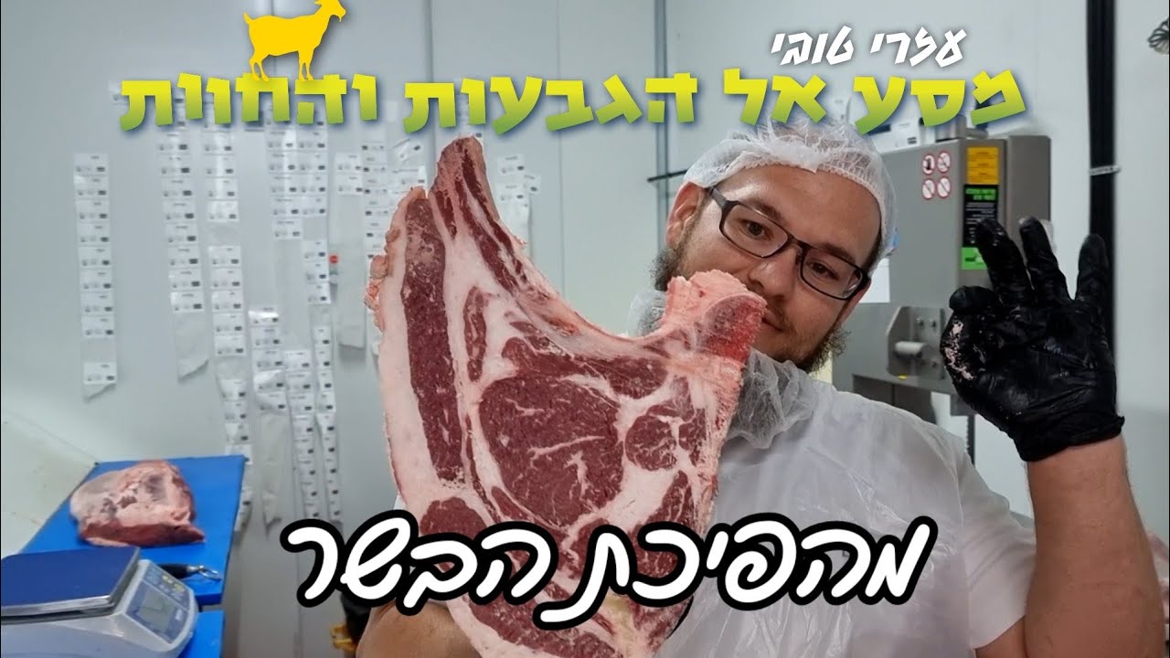 מסע הגבעות והחוות ביו