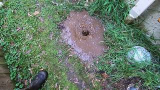 Blocked Drain 132