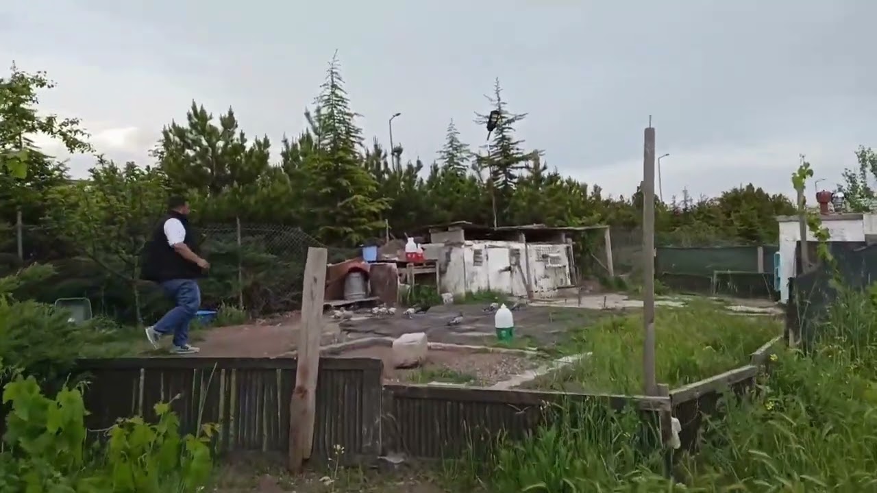 DUMANLI ERKEK İZLENMESİ GEREKEN BİR PAYLAŞIM