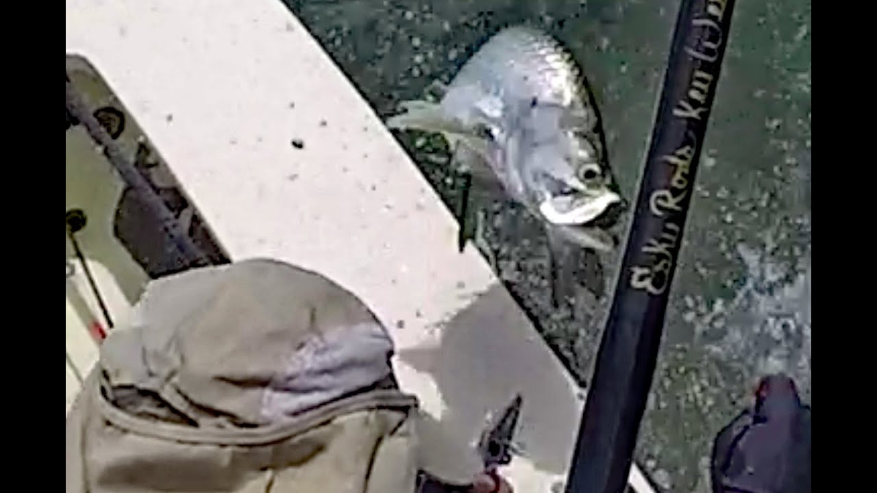 Esky Inshore Rod Testing w/Cuda Chuck - YouTube