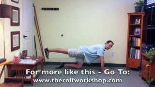 How To Stop Back Pain With The Bird Dog Exercise