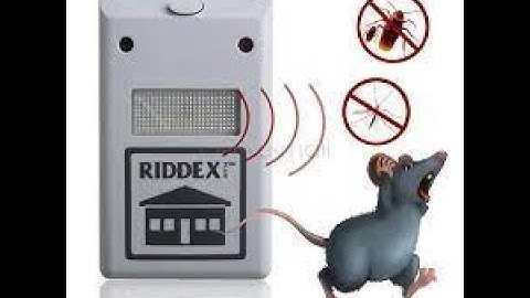 Âm Thanh Siêu Sóng Âm Đuổi Chuột, Gián, Muỗi Hiệu Quả - Thay Thế Máy Đuổi Chuột