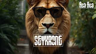 Download Lagu SEYKRONE - Aca Aca MP3