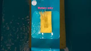 Final rinse 💦💦Watery sponge squeezing only #shorts #spongerinse #asmrsponge