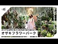 【VLOG】あらゆる植物が集まる都内最大級の園芸店「オザキフラワーパーク」訪問|観葉・塊根・多肉・花苗