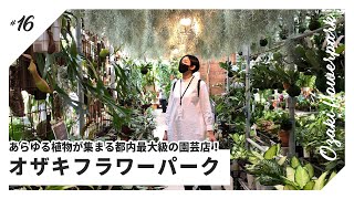 【VLOG】あらゆる植物が集まる都内最大級の園芸店「オザキフラワーパーク」訪問｜観葉・塊根・多肉・花苗