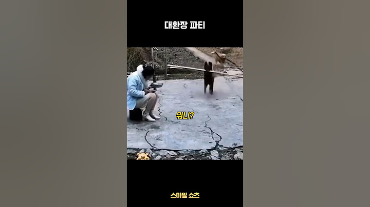 대환장 파티
