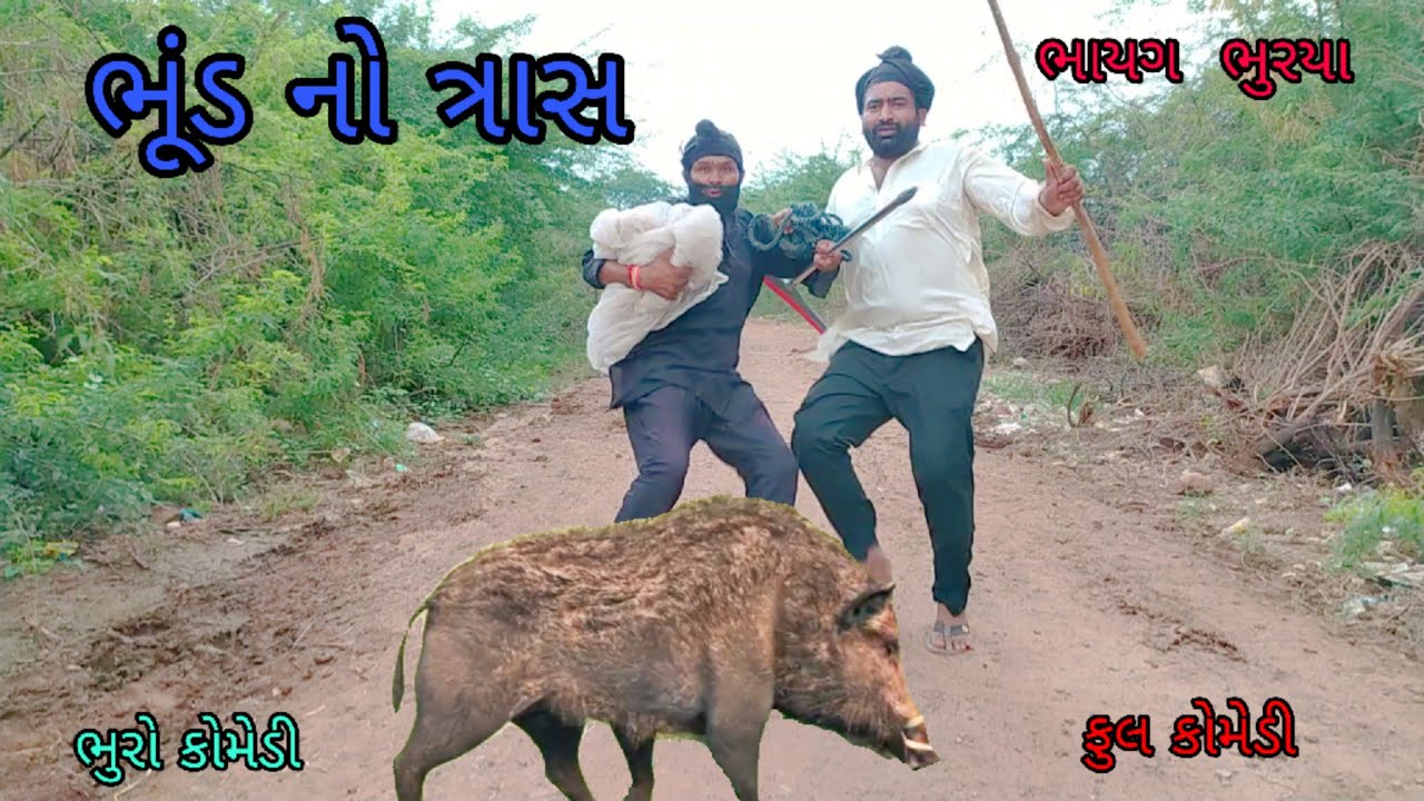 ભૂંડ નો ત્રાસ |bhurocomedy |gujaraticomedy |bccomedy