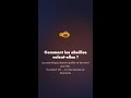 Comment les abeilles volent vraiment | WhyDaily