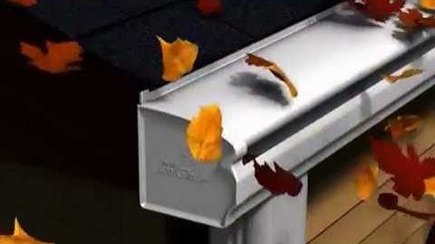 Animation Showing How LeafGuard Works