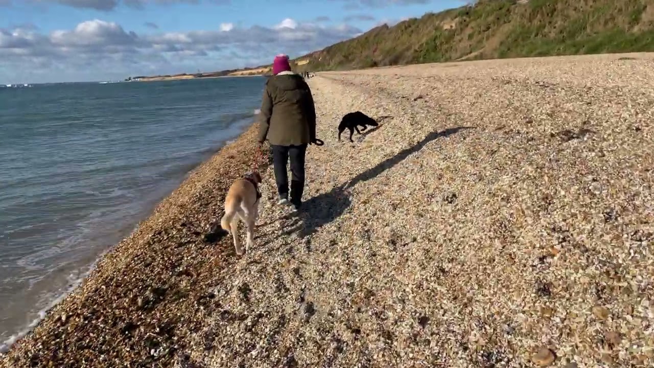 Meon Shore Hill Head