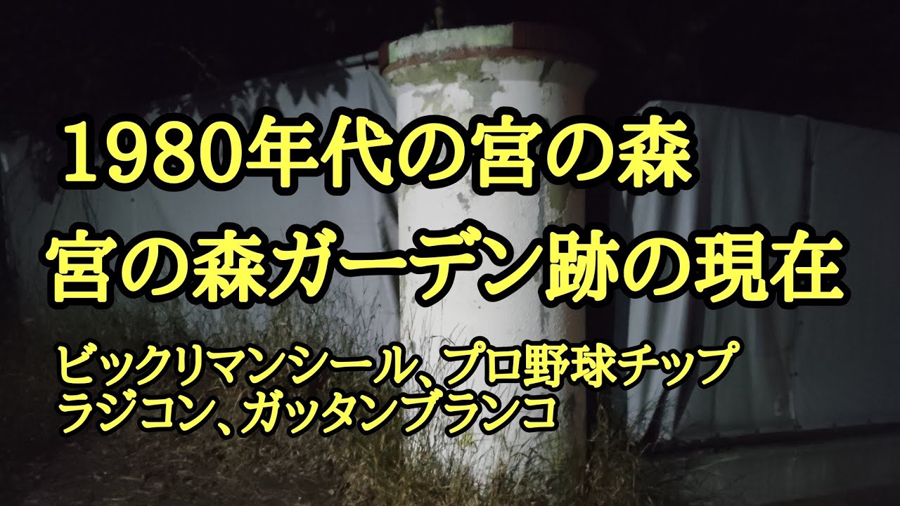 Miyanomori, Chuo Ward in the 1980s: The Present State of