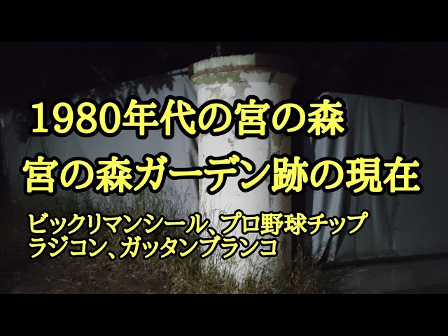 Miyanomori, Chuo Ward in the 1980s: The Present State of