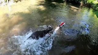 Wltoys Wl915 Unboxing And Test Run Fresh Out Of The Box. Latest Edition