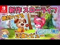 Switch/Steamで遊べるEverafter Fallsの正直レビュー!絶対ハマる新作スローライフ!【エバ―アフターフォールズ】