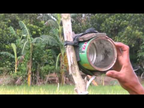 Alat Sederhana Pengusir Tikus dan Burung Pipit/Emprit Alat Sederhana Pengusir Tikus dan Burung Pipit/Emprit