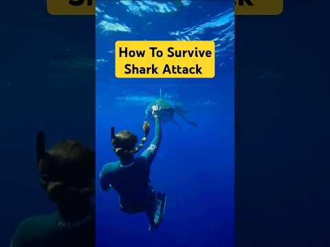 How to survive