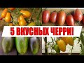 САМЫЕ ВКУСНЫЕ И СЛАДКИЕ ТОМАТЫ !!! (ЛУЧШИЕ СОРТА ЧЕРРИ И КОКТЕЙЛЬНЫХ ТОМАТОВ, КОТОРЫЕ Я САЖАЛ!)