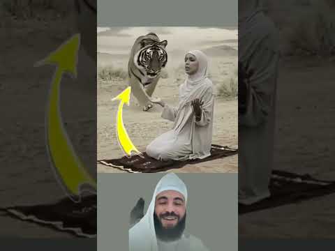 سبحان الله الا اساد لم يصتطي يحكيه عبارات اقنباسات دويتو  
