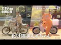 映画 化け猫あんずちゃん 実写 アニメ比較特別映像 2024年7月19日公開 映画 化け猫あんずちゃん 実写 アニメ比較特別映像 2024年7月19日公開