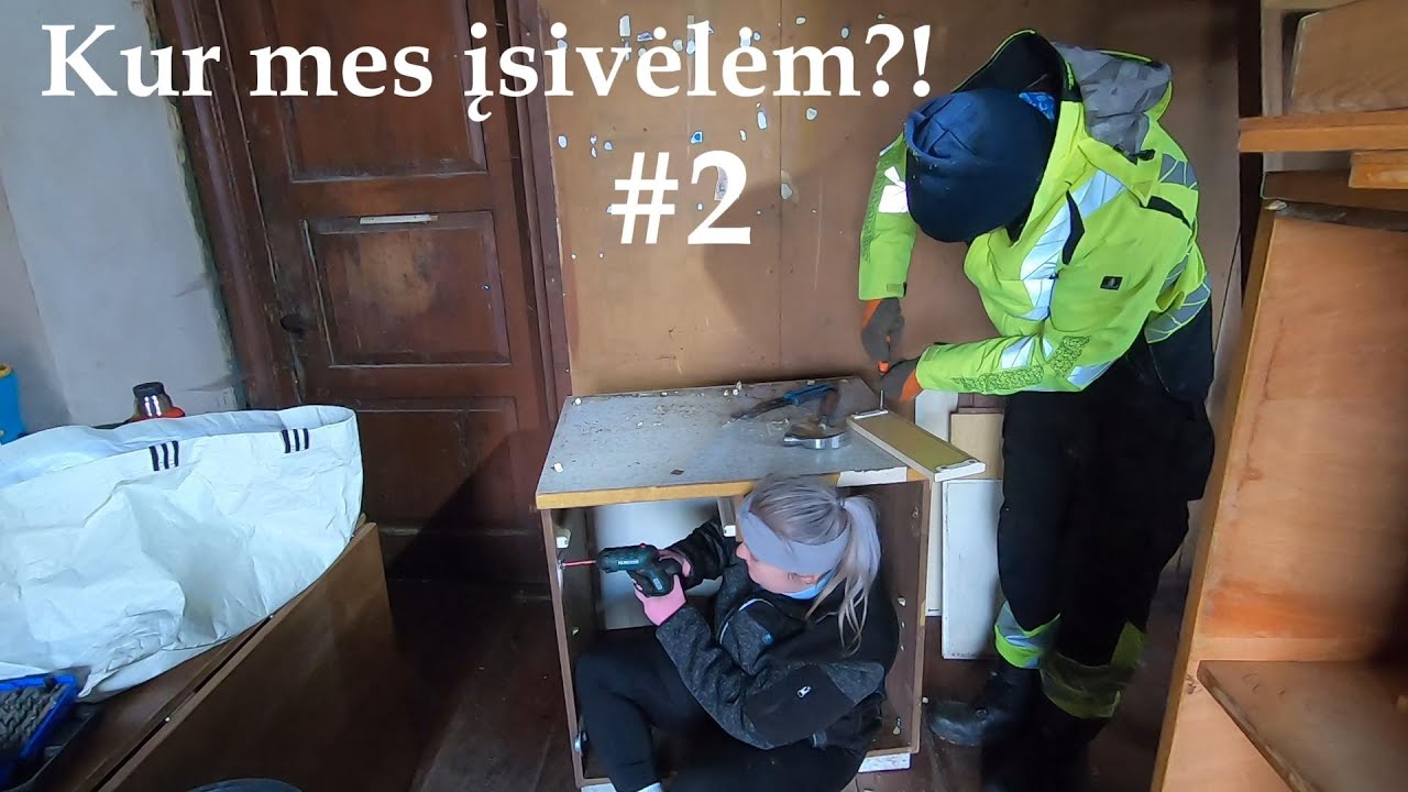 Kur mes įsivėlėm?! #2 baldai, musės ir pelė