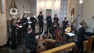Vogel Stimmen Fest – Querschnitt