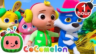 Why is Wally the Wolf Sad? | 1 Hour of CoComelon Animal Time | Nursery Rhymes for Kids