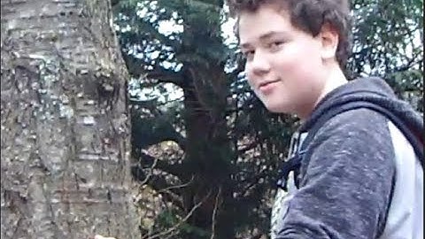 Let It Go Music Video (Japanese)