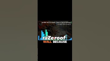 Why Real Freedom Needs Clear Boundaries #substack #shorts