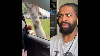 She Didn&#39;t See This Coming #reactionvideo #reaction