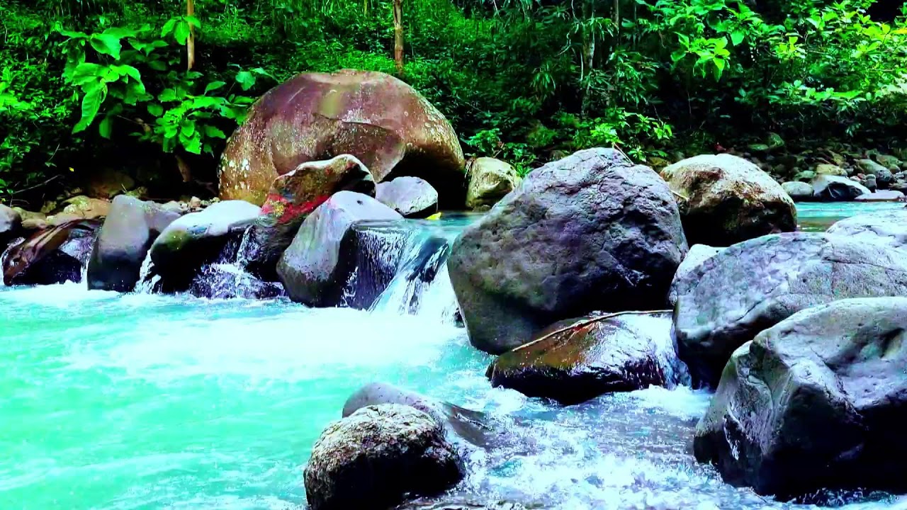 Relaxing River & Bird Chirps ASMR - Natural Ambience for Sleeping, Study, and Meditation