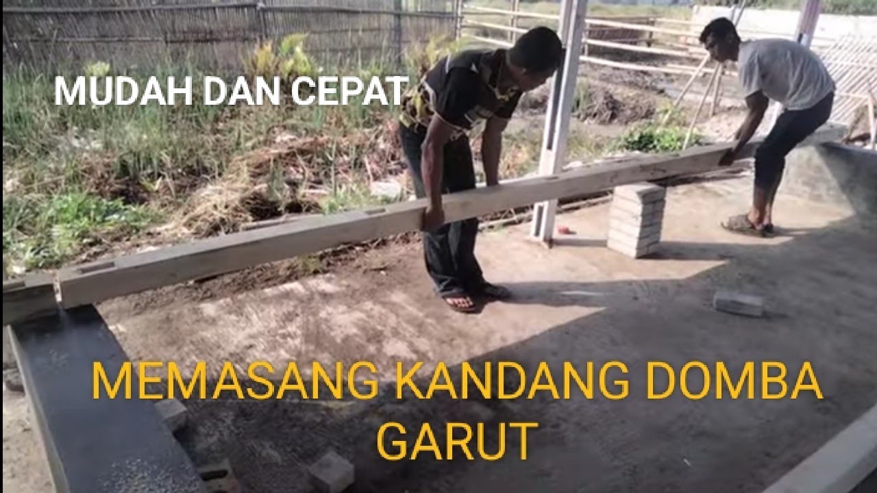 Part1..CARA MEMASANG KANDANG DOMBA GARUT JANTAN 10 ROHANG/KAMAR DITEMPAT DINDA FARM SERANG BANTEN