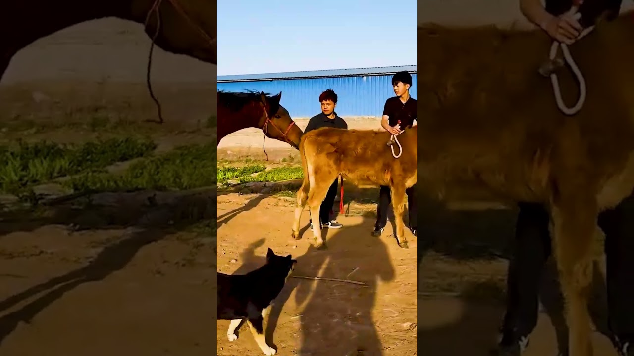 𝙱𝚎 𝚠𝚑𝚘 𝚢𝚘𝚞 𝚠𝚊𝚗𝚝 𝚝𝚘 𝚋𝚎 𝚊𝚗𝚍 𝚗𝚘𝚝 𝚠𝚑𝚊𝚝 𝚘𝚝𝚑𝚎𝚛𝚜 𝚠𝚊𝚗𝚝 𝚝𝚘 𝚜𝚎𝚎