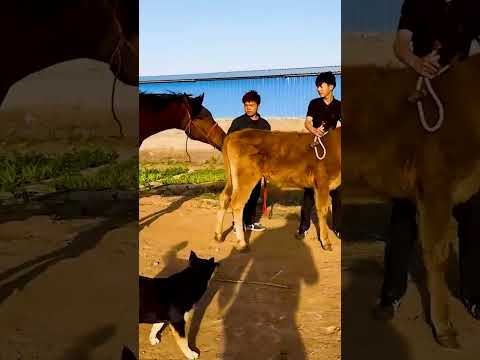 𝙱𝚎 𝚠𝚑𝚘 𝚢𝚘𝚞 𝚠𝚊𝚗𝚝 𝚝𝚘 𝚋𝚎 𝚊𝚗𝚍 𝚗𝚘𝚝 𝚠𝚑𝚊𝚝 𝚘𝚝𝚑𝚎𝚛𝚜 𝚠𝚊𝚗𝚝 𝚝𝚘 𝚜𝚎𝚎