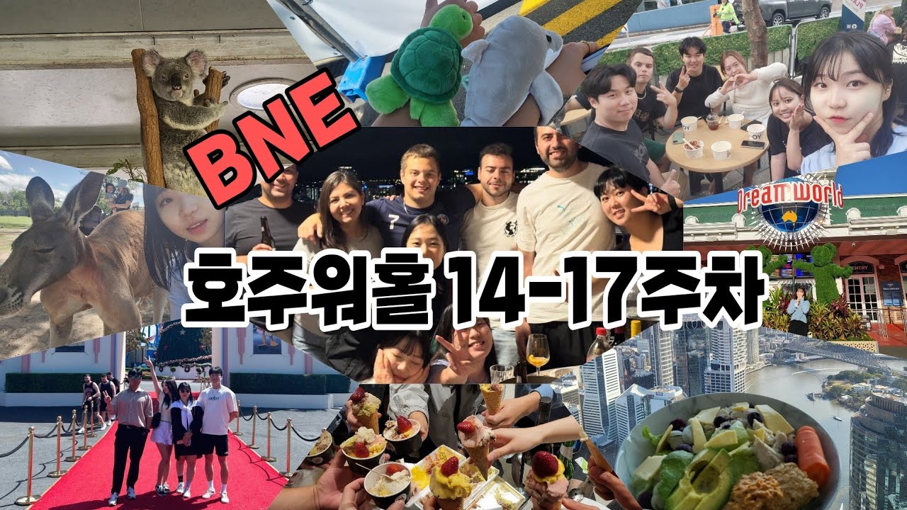 [V-LOG]호주 워킹홀리데이 14-17 주차 | 3번째 이사 |홈파티 |론파인생츄어리|드림월드 | 무비월드 |골드코스트 |