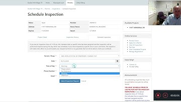 Online Inspection Scheduling
