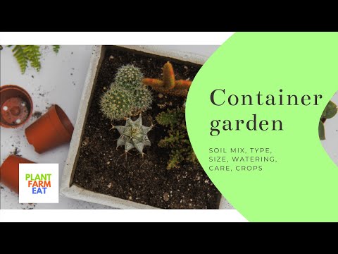 How to design a container garden