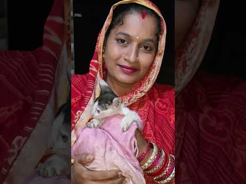 Rescud puppy cat by #monalisabhadra