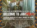 Damian Marley Ft Nas Road To Zion Instrumental 