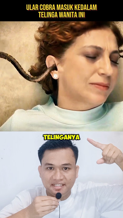 ULAR COBRA MASUK KEDALAM TELINGA WANITA INI‼️#shorts #alurcerita #storytelling