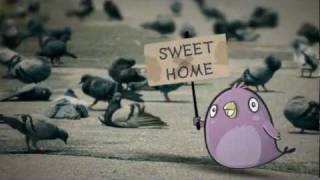 Lucky Birds: Home Needed for Pigeon screenshot 5