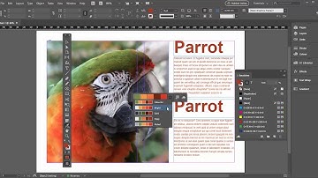 InDesign eyedropper tool - 3 essential tips!