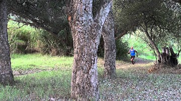 Pure Fusion Brand Video