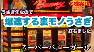 コイン不要機(オリンピア)スーパーバニーガール．バニーXO コイン不要機(オリンピア)スーパーバニーガール．バニーXO