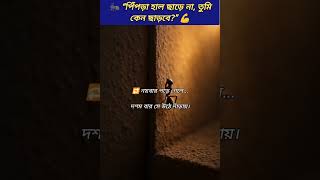 পিঁপড়ার মতো হাল ছাড়ো না | Ant Motivation | Never Give Up